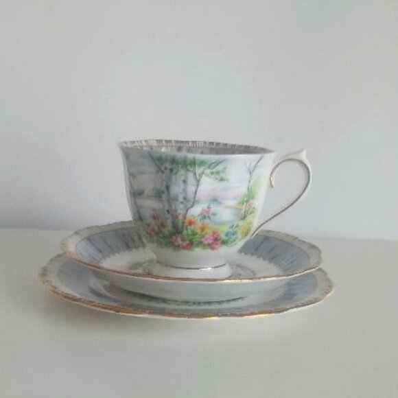 Vintage Royal Albert Silver Birch Teacup Saucer and Bread Plate - Picture 1 of 6